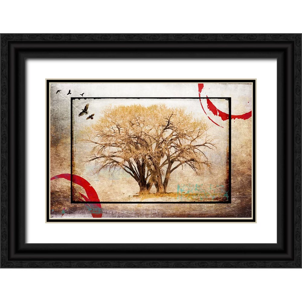 LightBoxJournal 14x11 Black Ornate Wood Framed with Double Matting Museum Art Print Titled - Cottonwood Tree Part 06