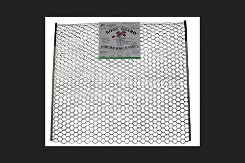 Wayne Morgan 7304389 15 gal Gopher Wire Basket Root Guard