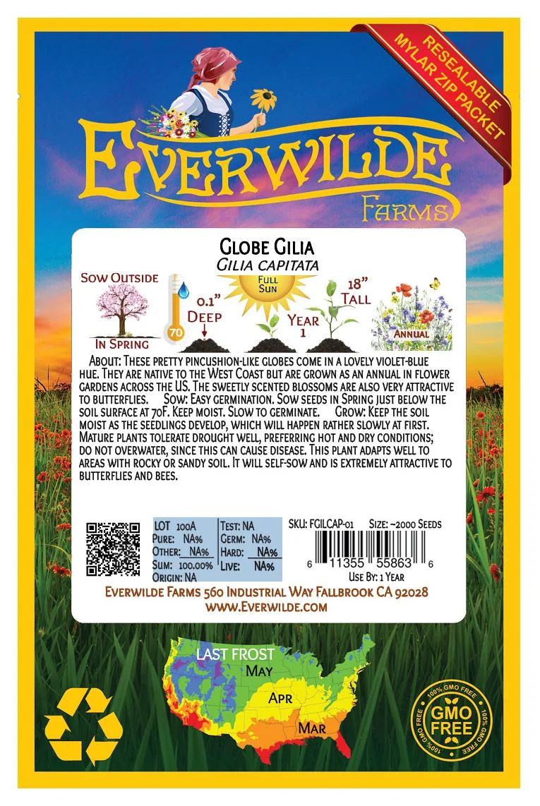 Everwilde Farms - 2000 Globe Gilia Native Wildflower Seeds - Gold Vault Jumbo Bulk Seed Packet