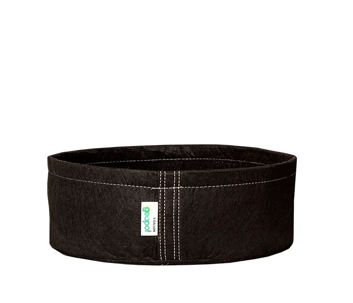 GeoPot SquatPot 2 Gallon