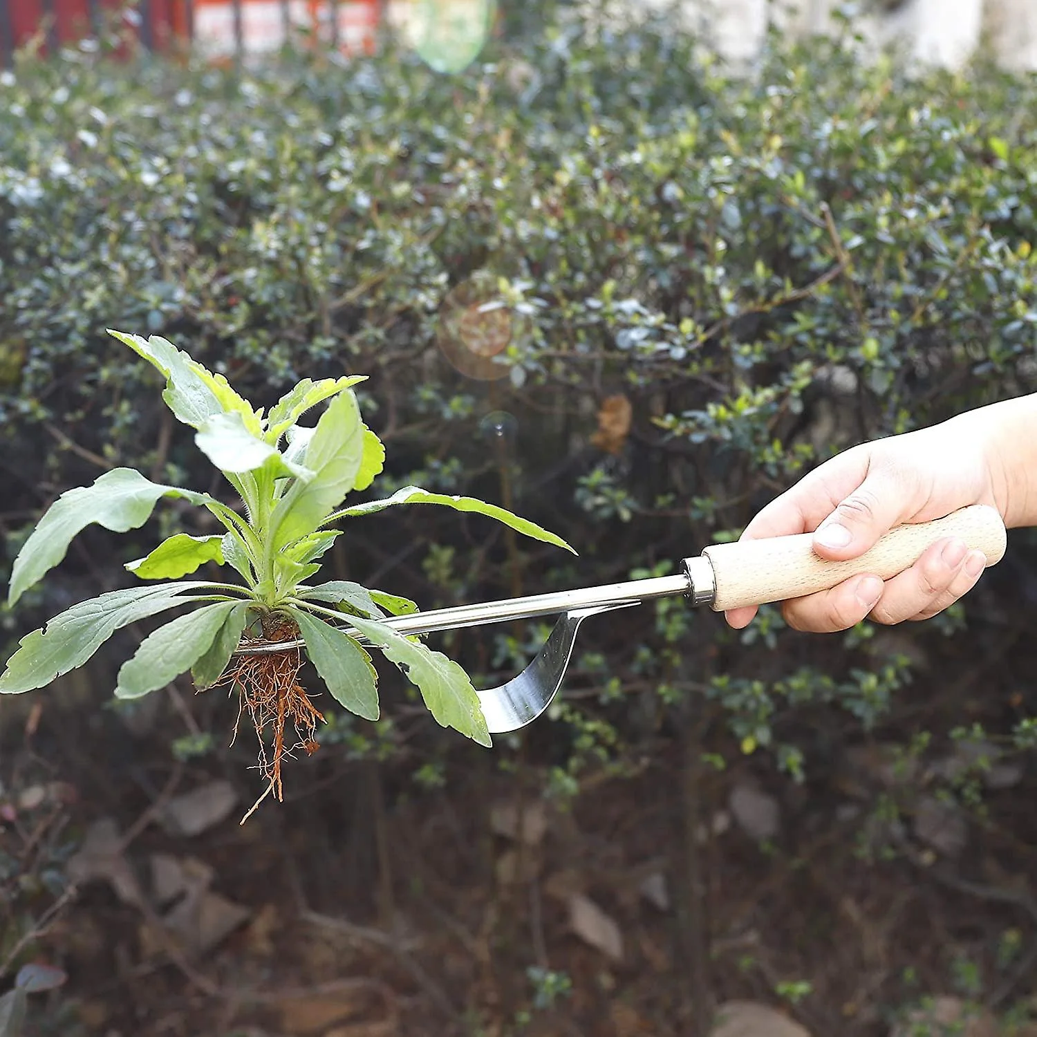 1pc Garden Manual Weeder Stainless Steel Weeding Tool With Wooden Handle Garden Tool 32cm Long