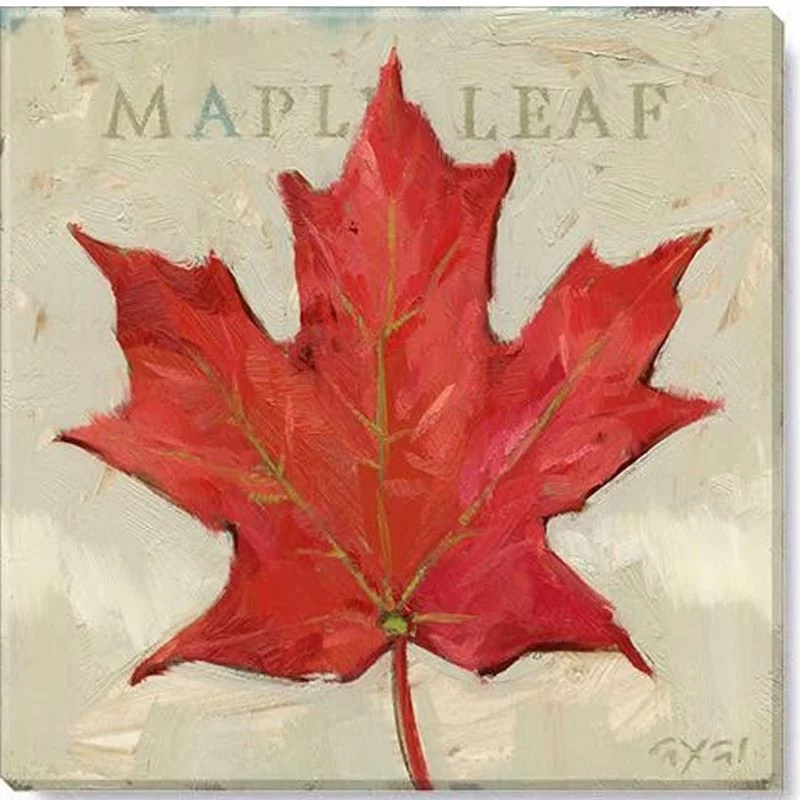 Sullivans Darren Gygi Maple Leaf Canvas, Museum Quality Giclee Print, Gallery Wrapped, Handcrafted in USA 9