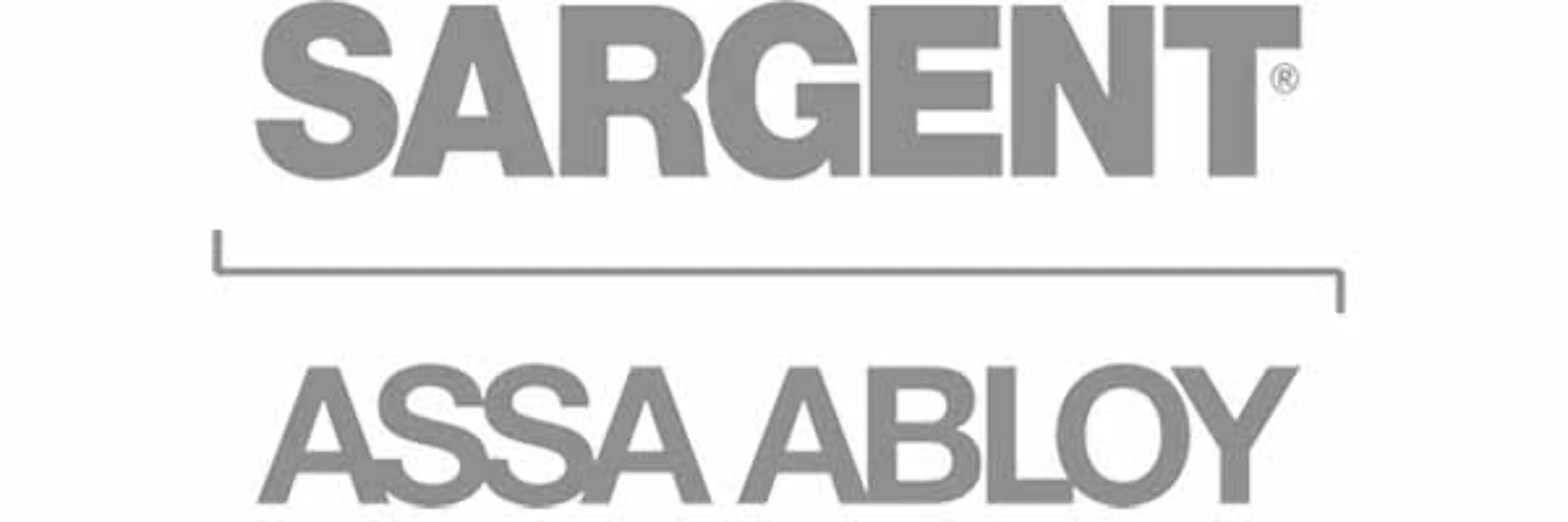 Sargent SPRAY PAINT EB Spray Paint Dark Bronze