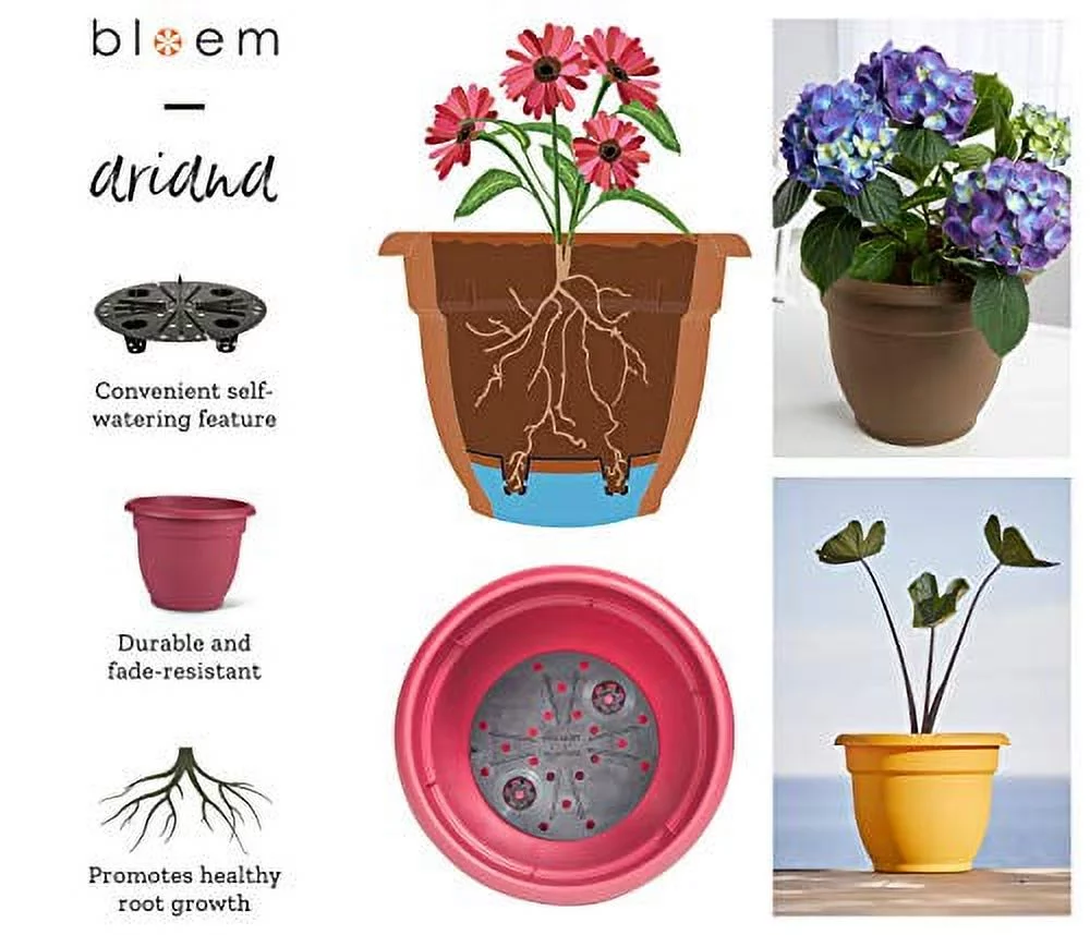 Bloem Ariana Planter w/ Self-Watering Disk, Chocolate - 16