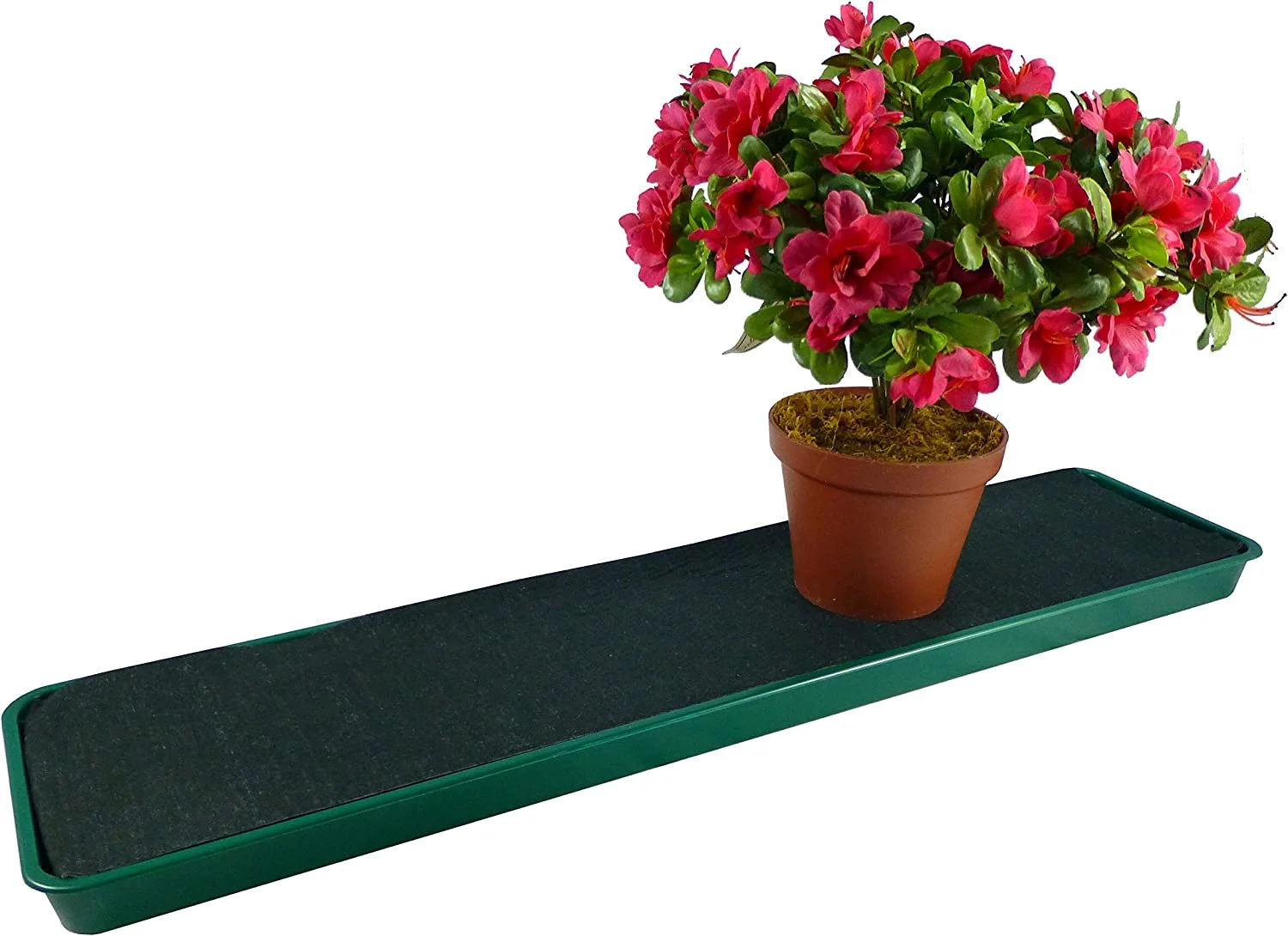 Tierra Garden GP71 Windowsill Self Watering Plant Tray