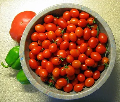 Clovers Garden Grape Tomato Plant– Two (2) Live Plants – Not Seeds – Each 5