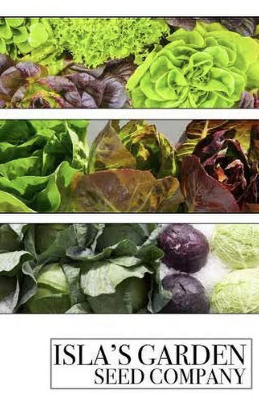 Royal Burgundy Bush Bean Seeds, 30 Heirloom Seeds Per Packet, Non GMO Seeds, Isla's Garden Seeds