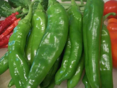 Clovers Garden Anaheim Pepper Plant- Two (2) Live Plants – Not Seeds – in 3.5 Inch Pots