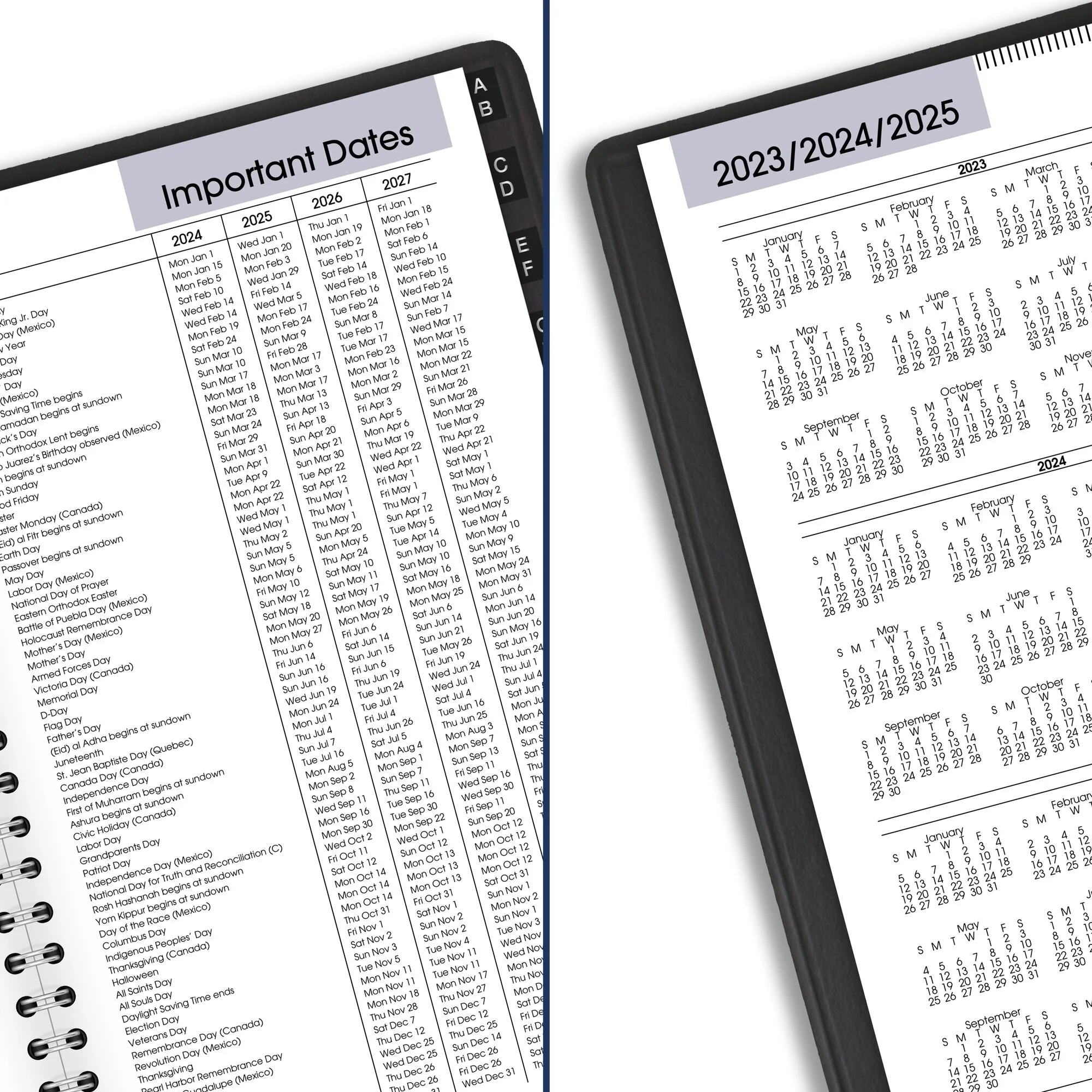 AT-A-GLANCE DayMinder 2024 Weekly Appointment Book Planner Tabbed