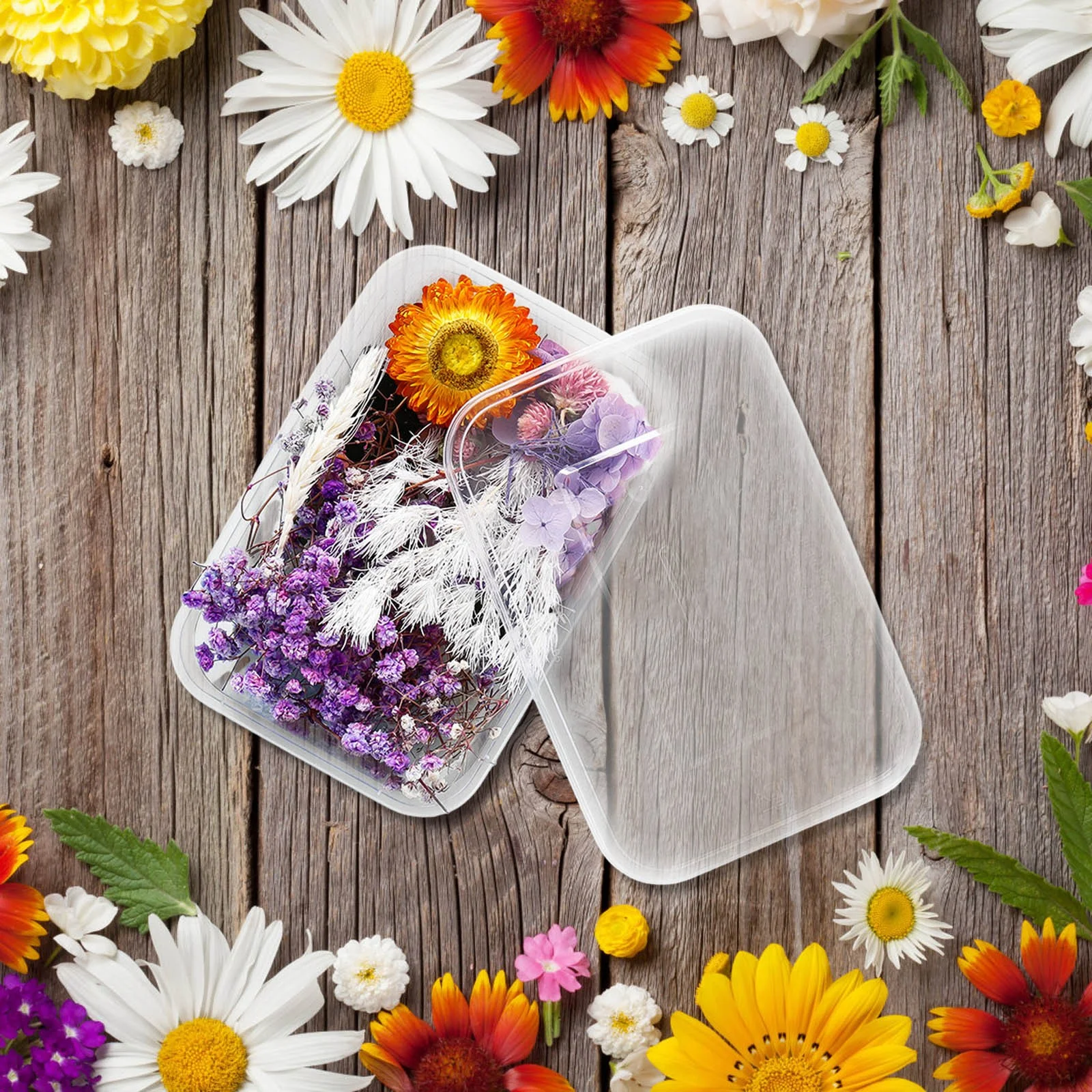 HALJEN Outdoor Artificial Flowers in Pots 1 Box Real Dried Flower Resin Fil Expoxy Flower for Epoxy Resin Jewelry Making Craft Diy Supplies Accessories (Forget Me Not)