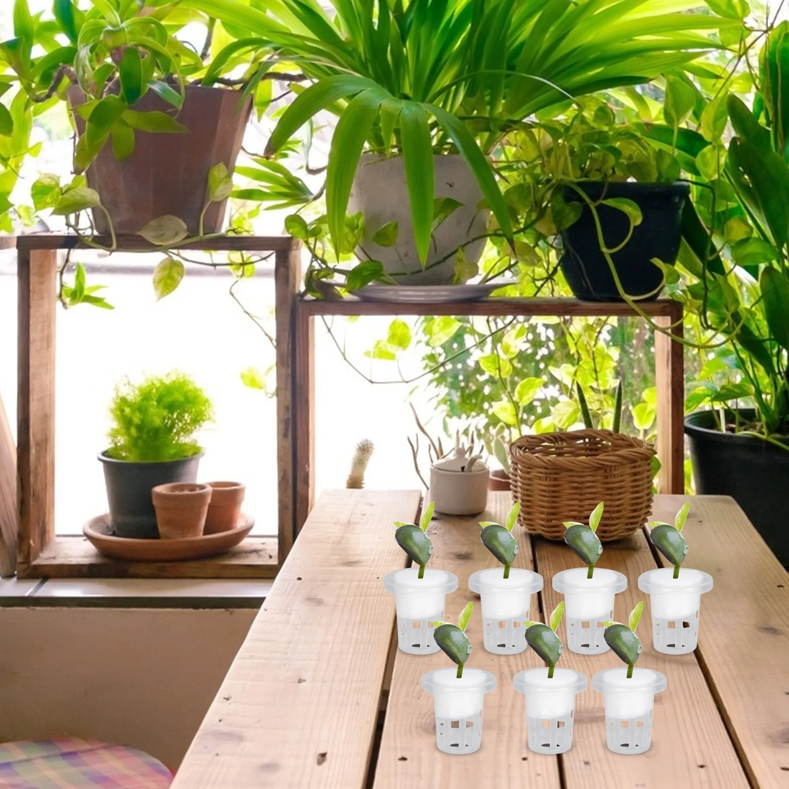 Hydroponic Planting Basket Nursery Baskets Plants 100 Pcs Pp Cotton Hydraulic Nail Pot Hidroponia Cultivation