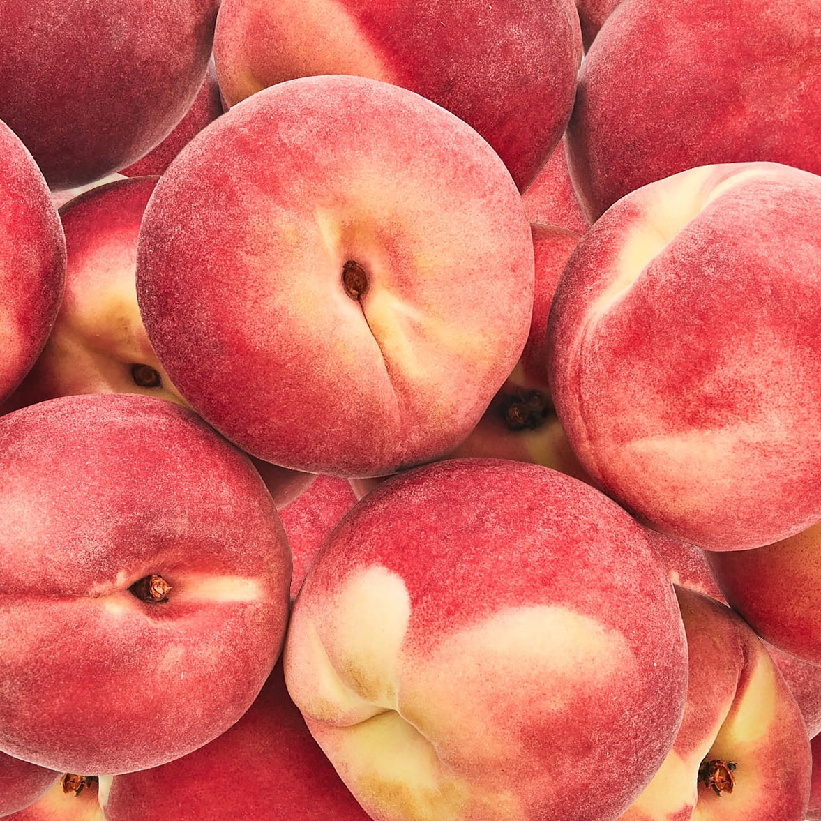 Fresh White Peach, Each