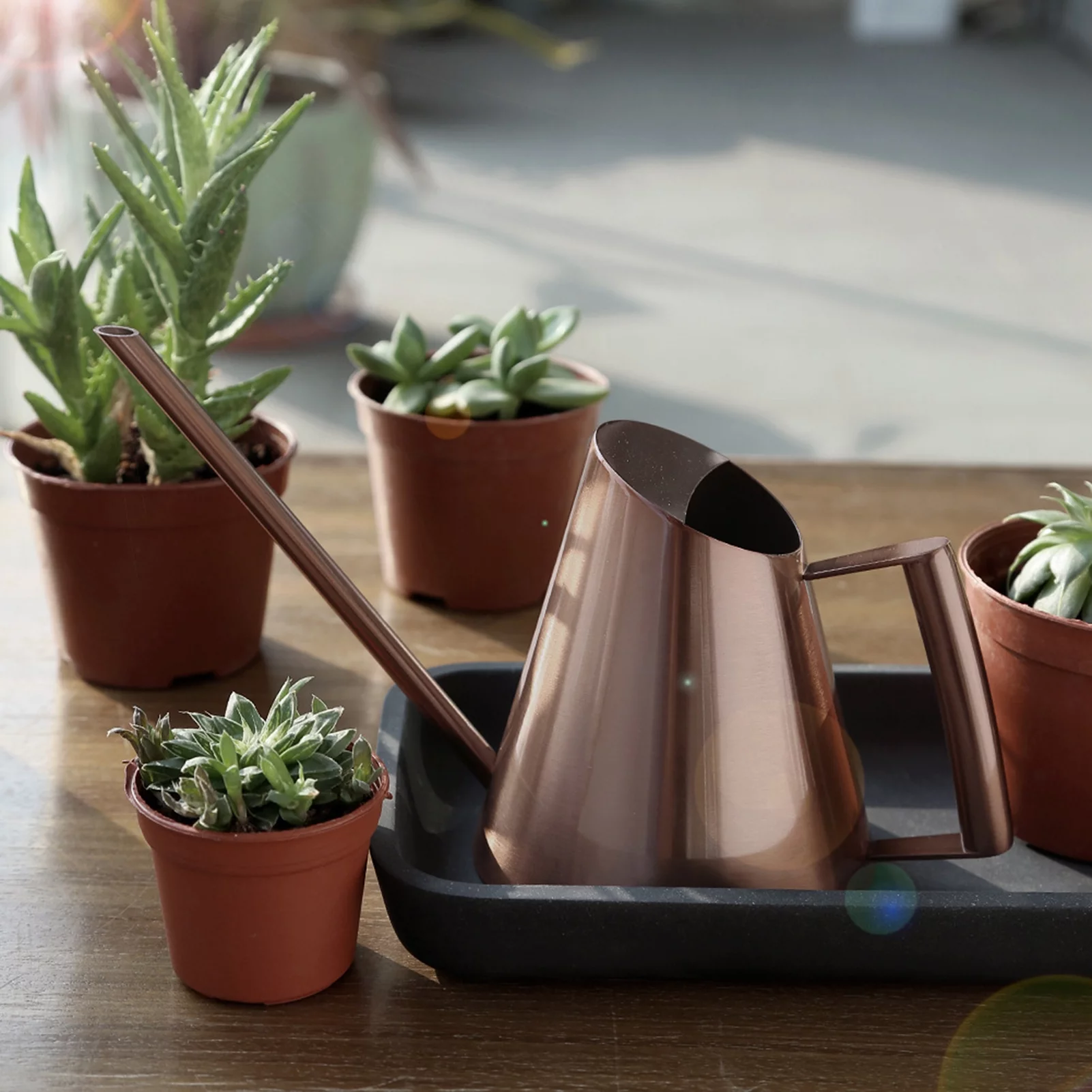 Watering Can, Bronze Stainless Steel Watering Pot with Long Spout Household Garden Plant Flower Long Mouth Sprinkling Pot(M)