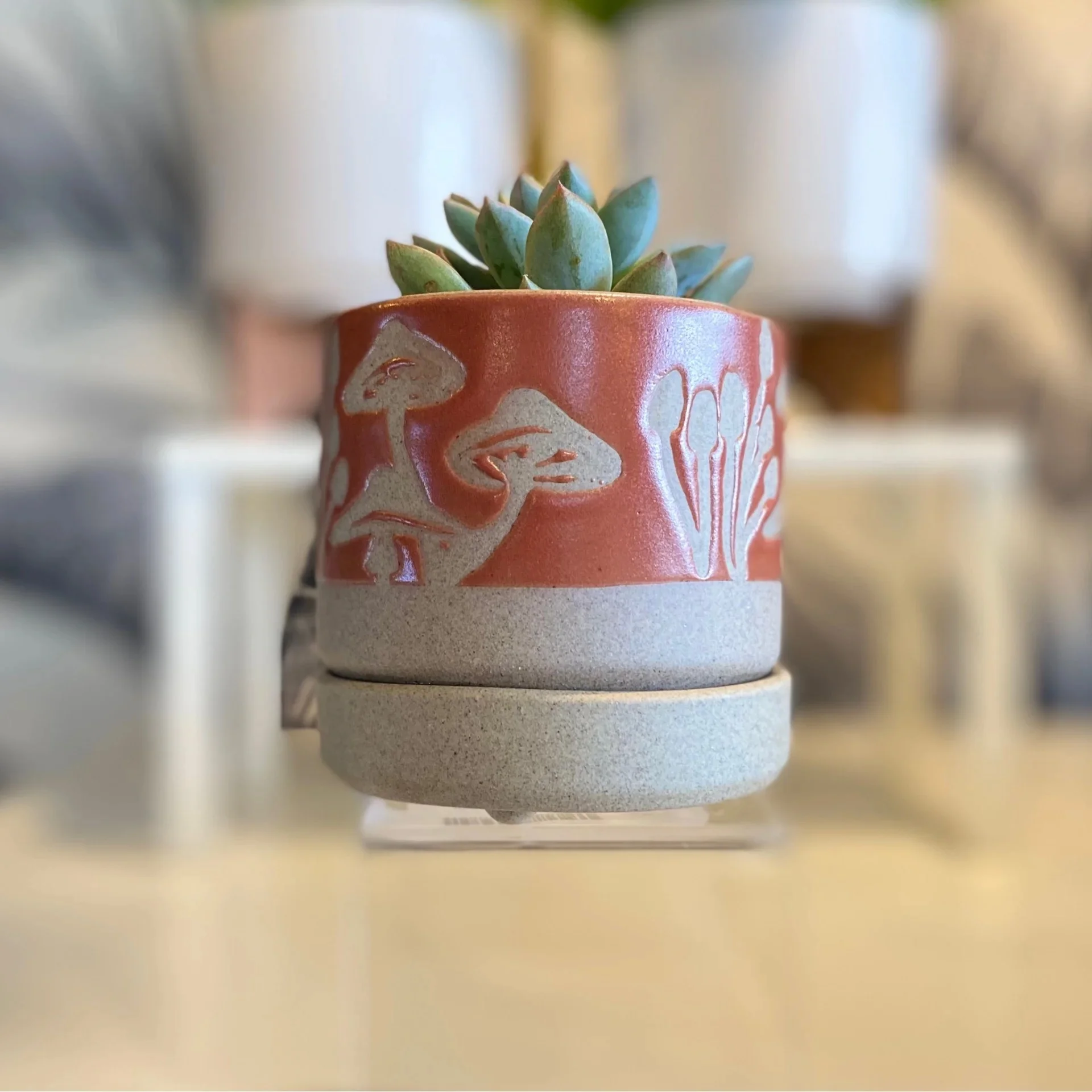 Red Mushroom Planter Pot | Planter for Plants | Mother's Day Gift