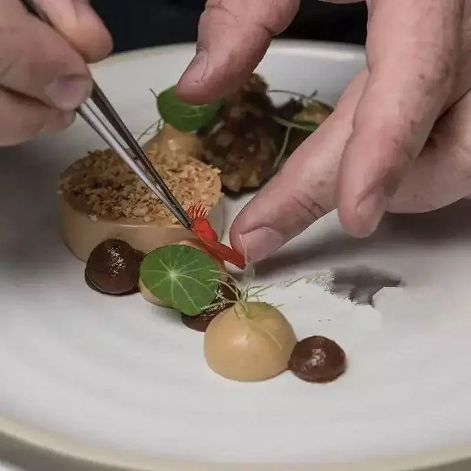 Toothed Tweezers Barbecue Stainless Steel Long Food Tongs Straight Home Medical Tweezer Garden Kitchen BBQ Tool 8 Sizes 20 CM