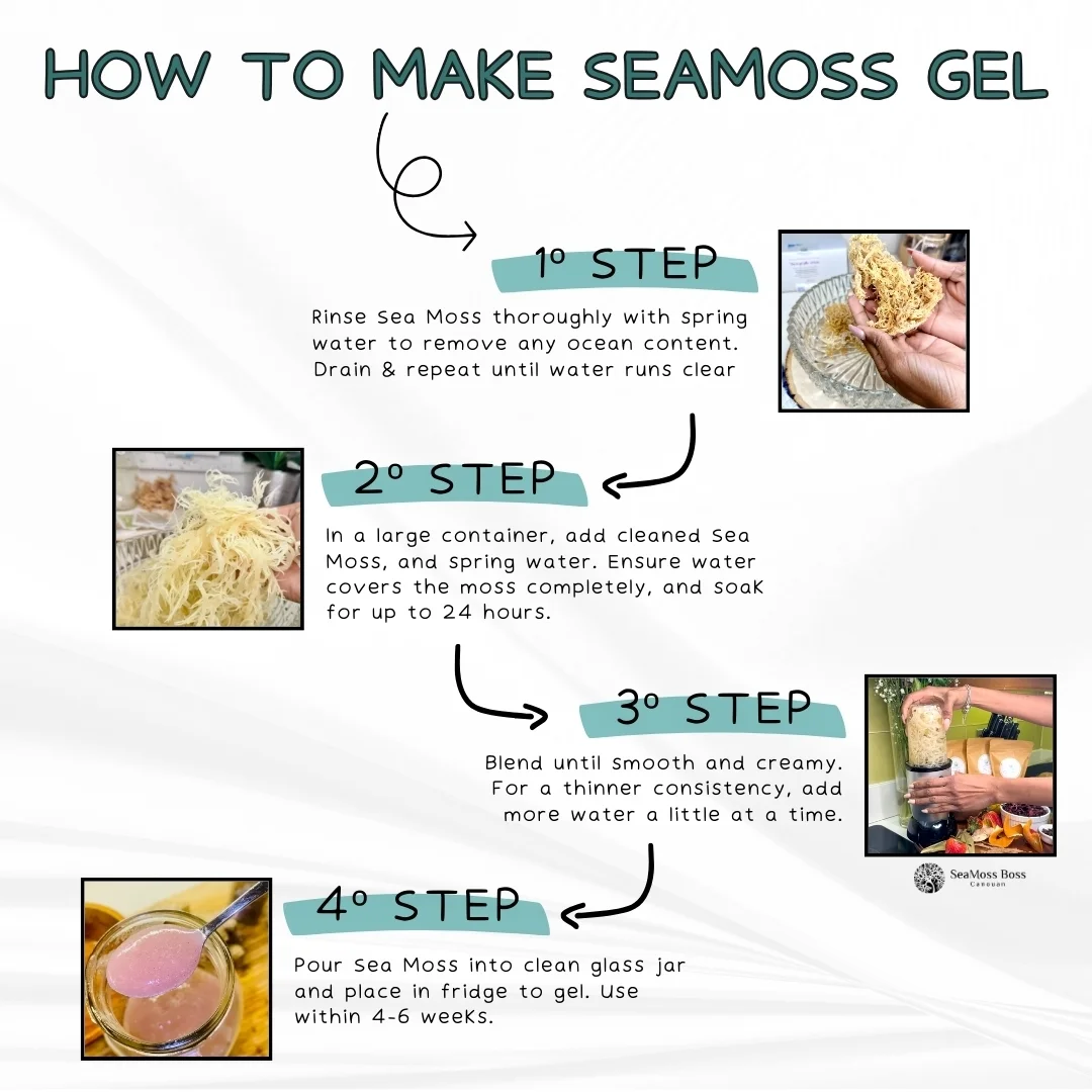 Full Spectrum Sea Moss