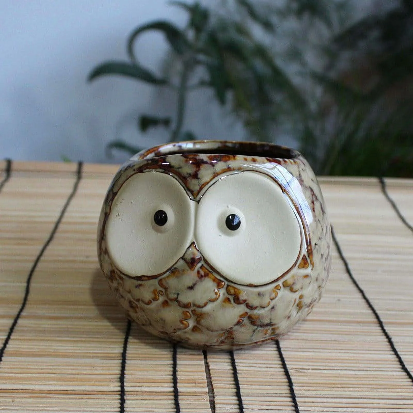 Ceramic Succulent Planter - Owl Shaped Thumb Pot with Colorful Glaze