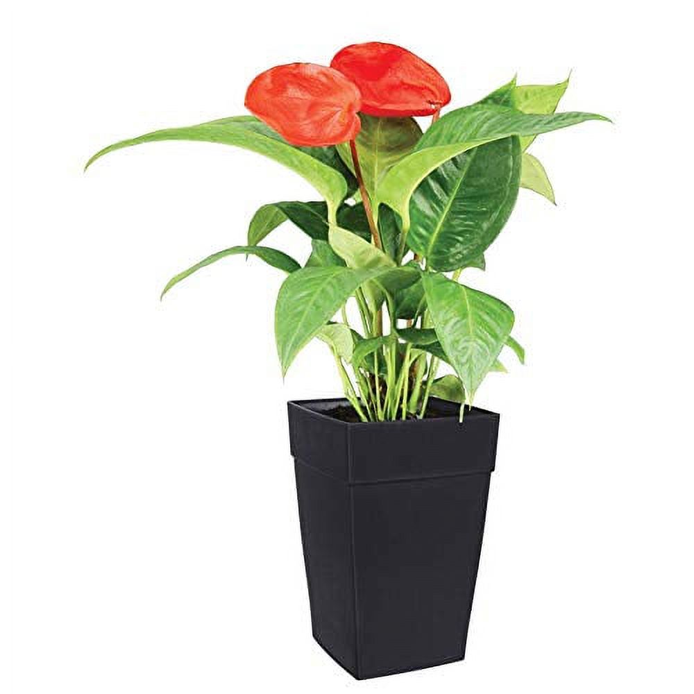 N351236 Tall Planter, Black, 12 by 18-Inch