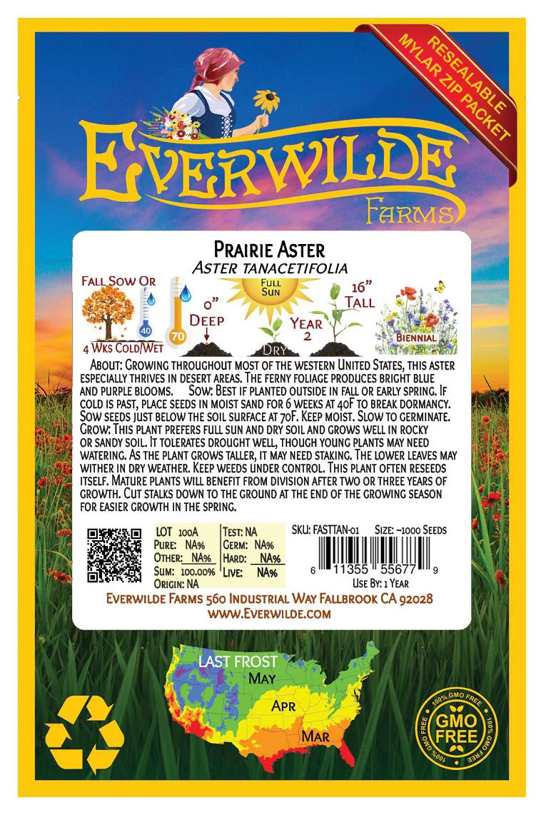 Everwilde Farms - 1000 Prairie Aster Native Wildflower Seeds - Gold Vault Jumbo Bulk Seed Packet