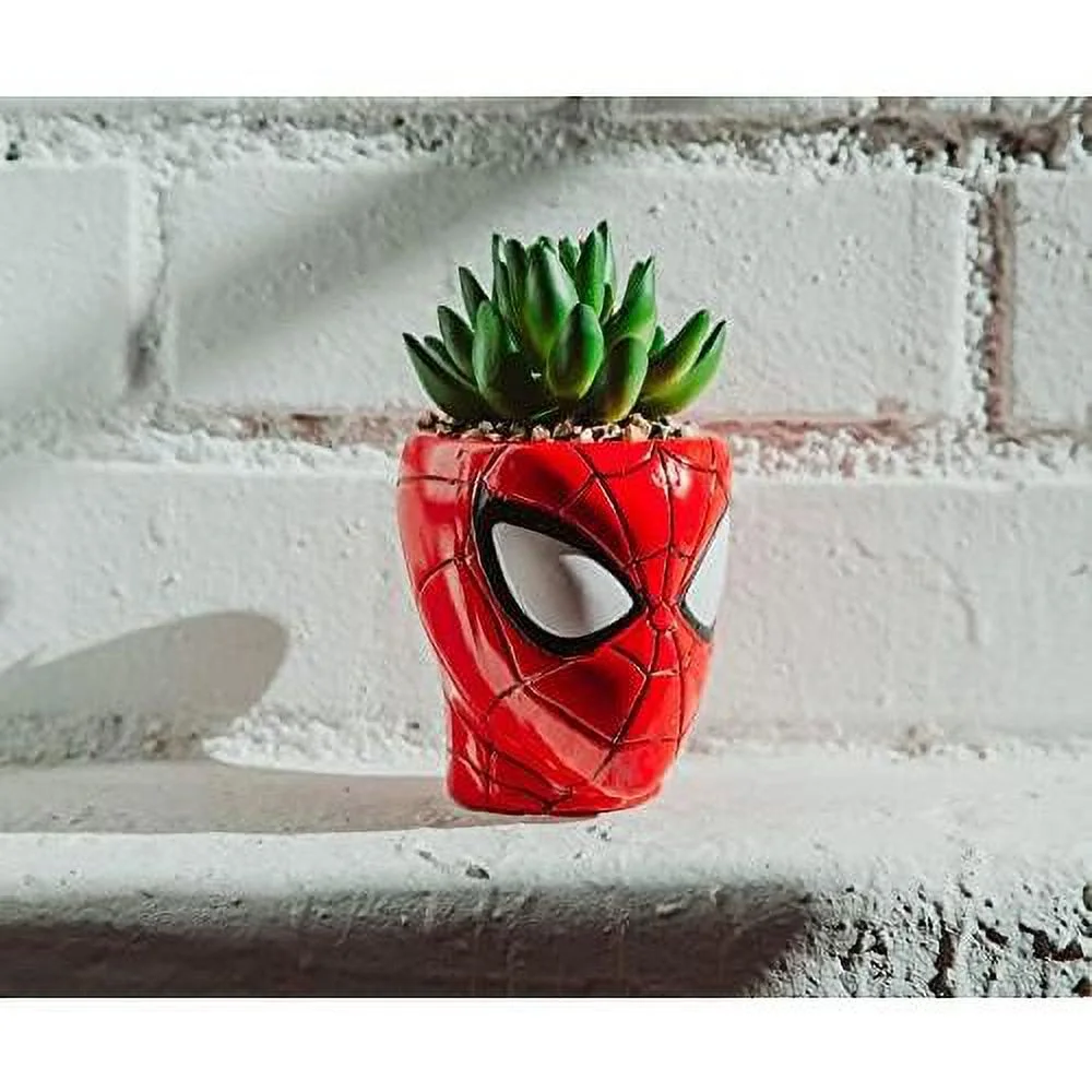Comics  3-Inch Ceramic Mini Planter With Artificial Succulent