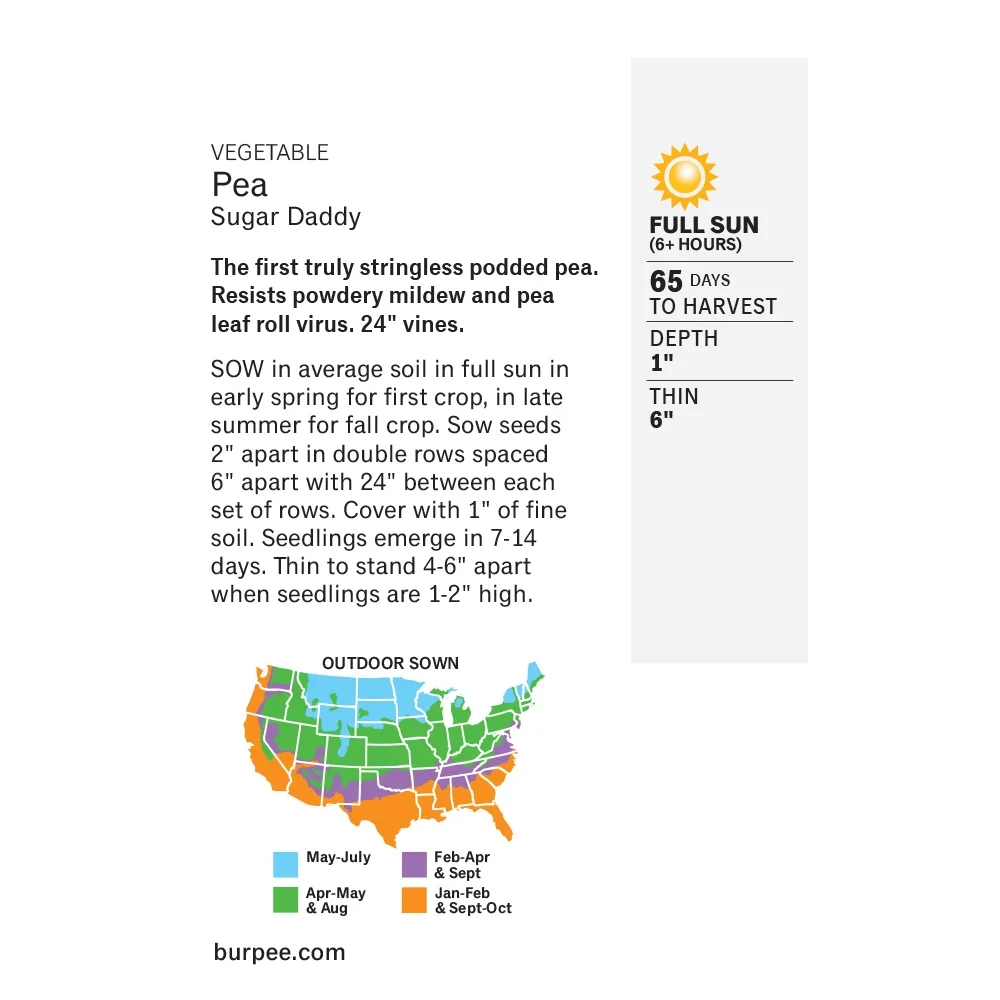 Burpee Sugar Daddy Pea Seeds - Non-GMO, Snap Pea, Heirloom Vegetable Gardening Seeds, 18.5g, 1-Pack