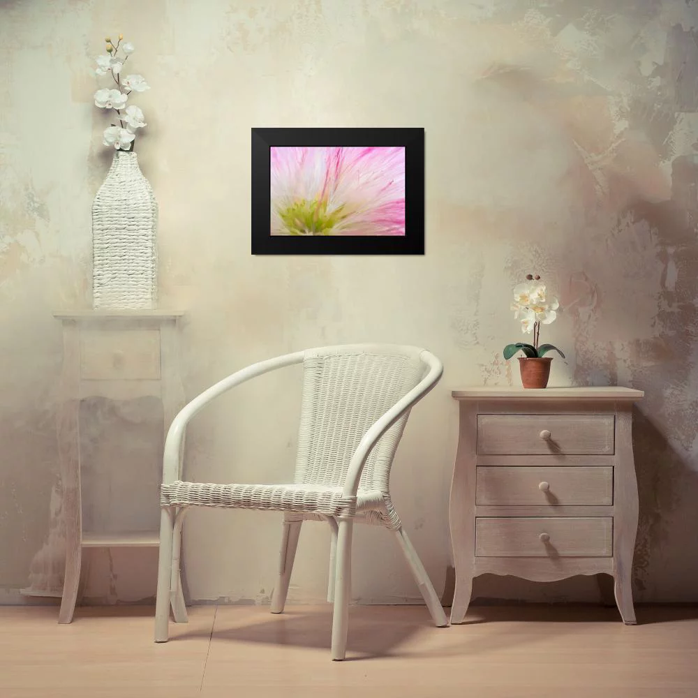 Mahan, Kathy 14x11 Black Modern Framed Museum Art Print Titled - Mimosa Tree Blossom IV