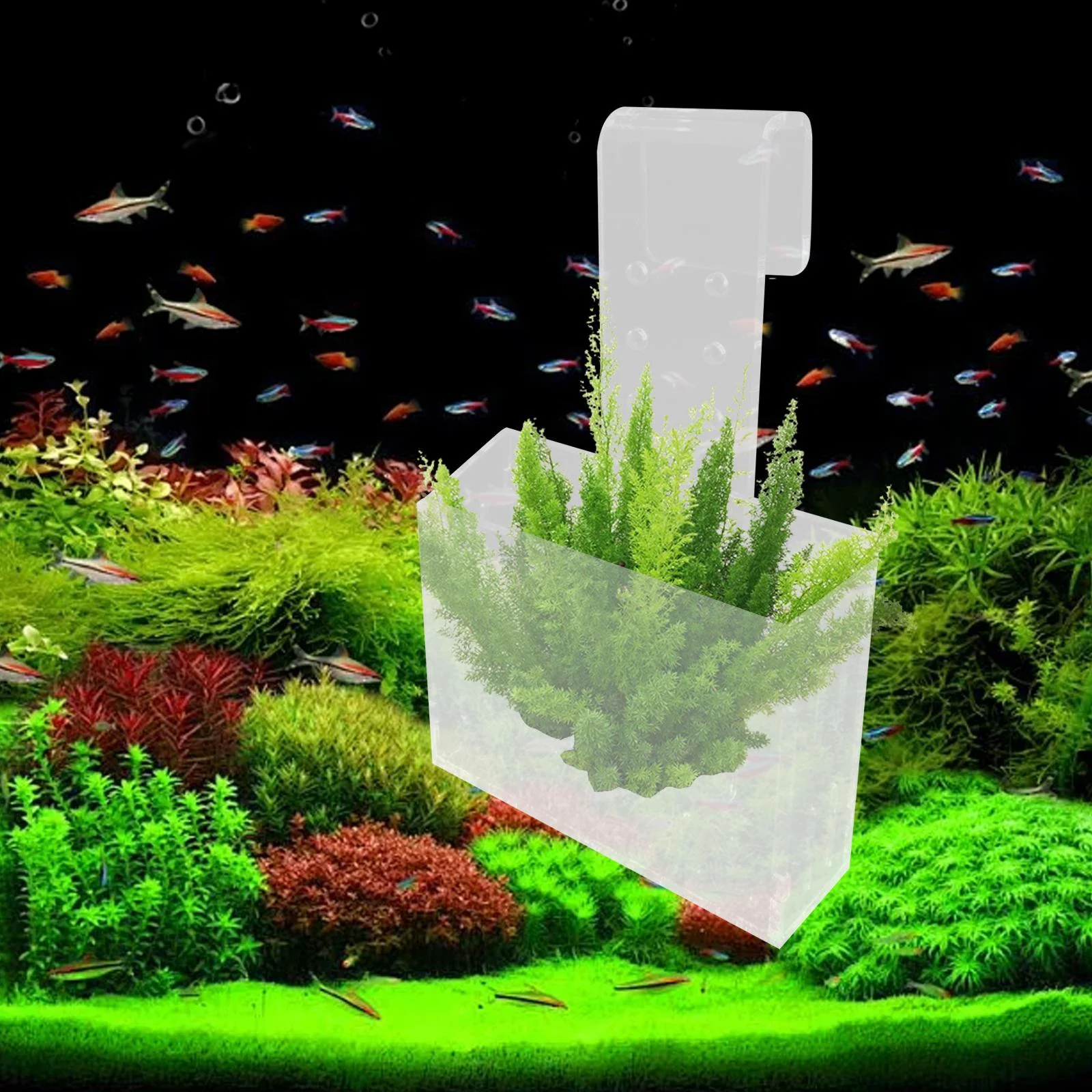 DOLITY Aquarium Plant Cup Transparent Container Hanging Landscape Aquatic Plant Pot