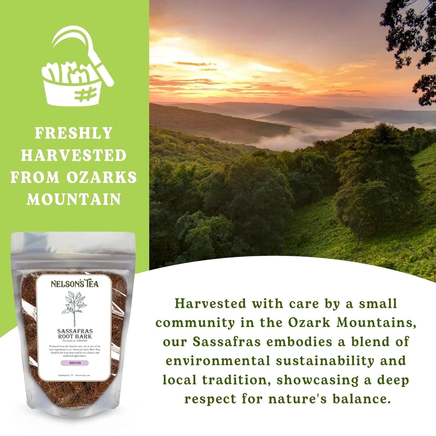 Woman-Owned Sassafras Root (1 Oz) -