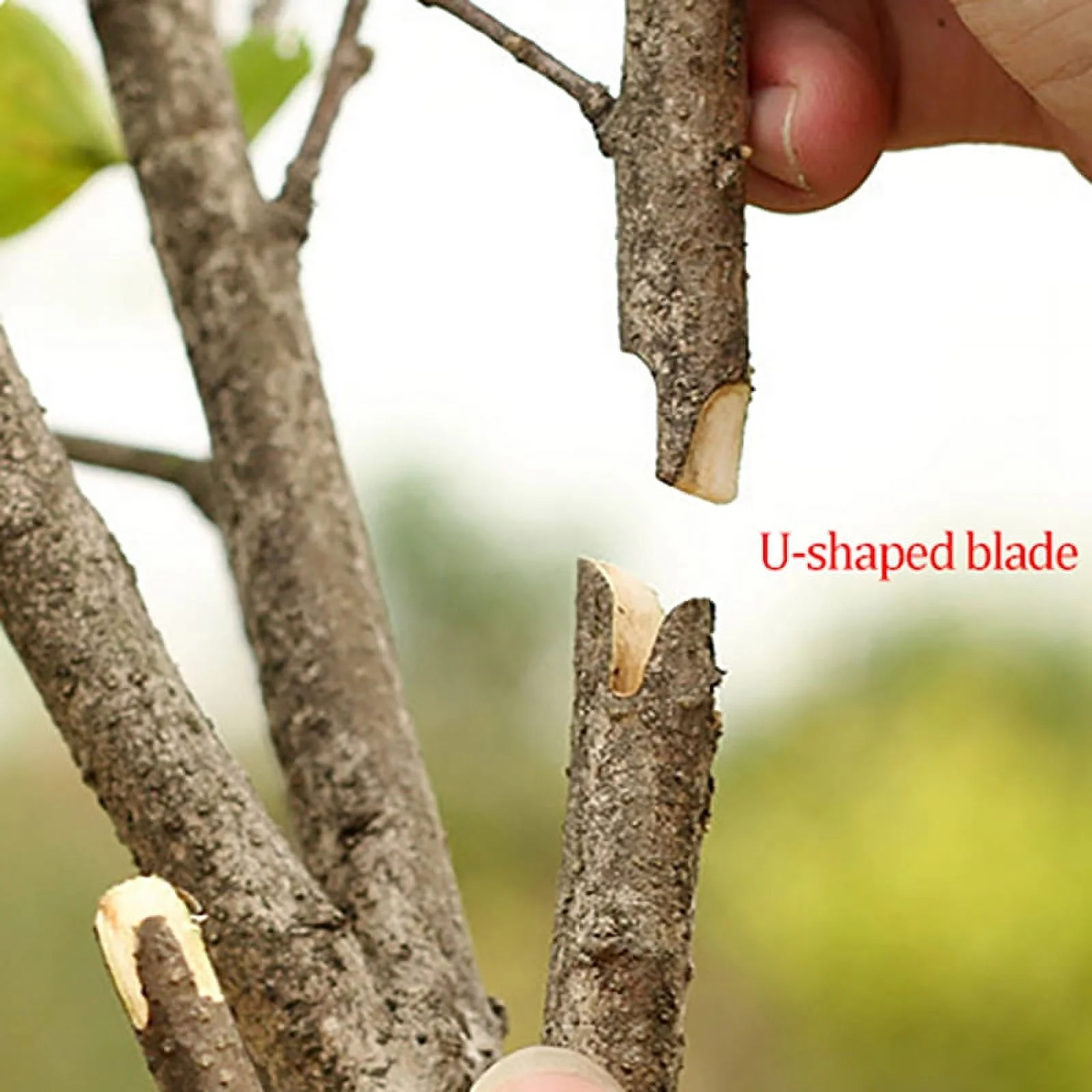 Grafting Pruner Garden Grafting Tool Professional Branch Cutter Secateur Pruning
