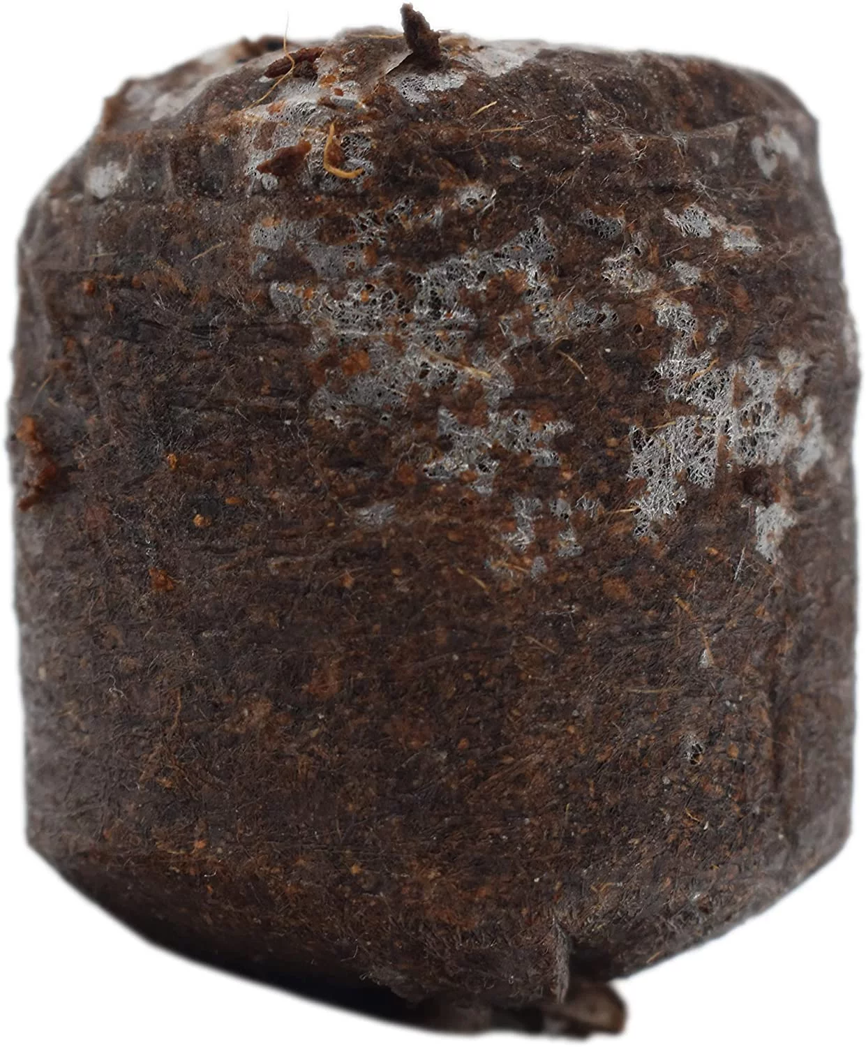 Set of 100 Netted Coco Coir Pellets - 38mm - Seed Starter Pellets - Expands with Water - Provides Seeds with The Optimum Starting Soil (100)