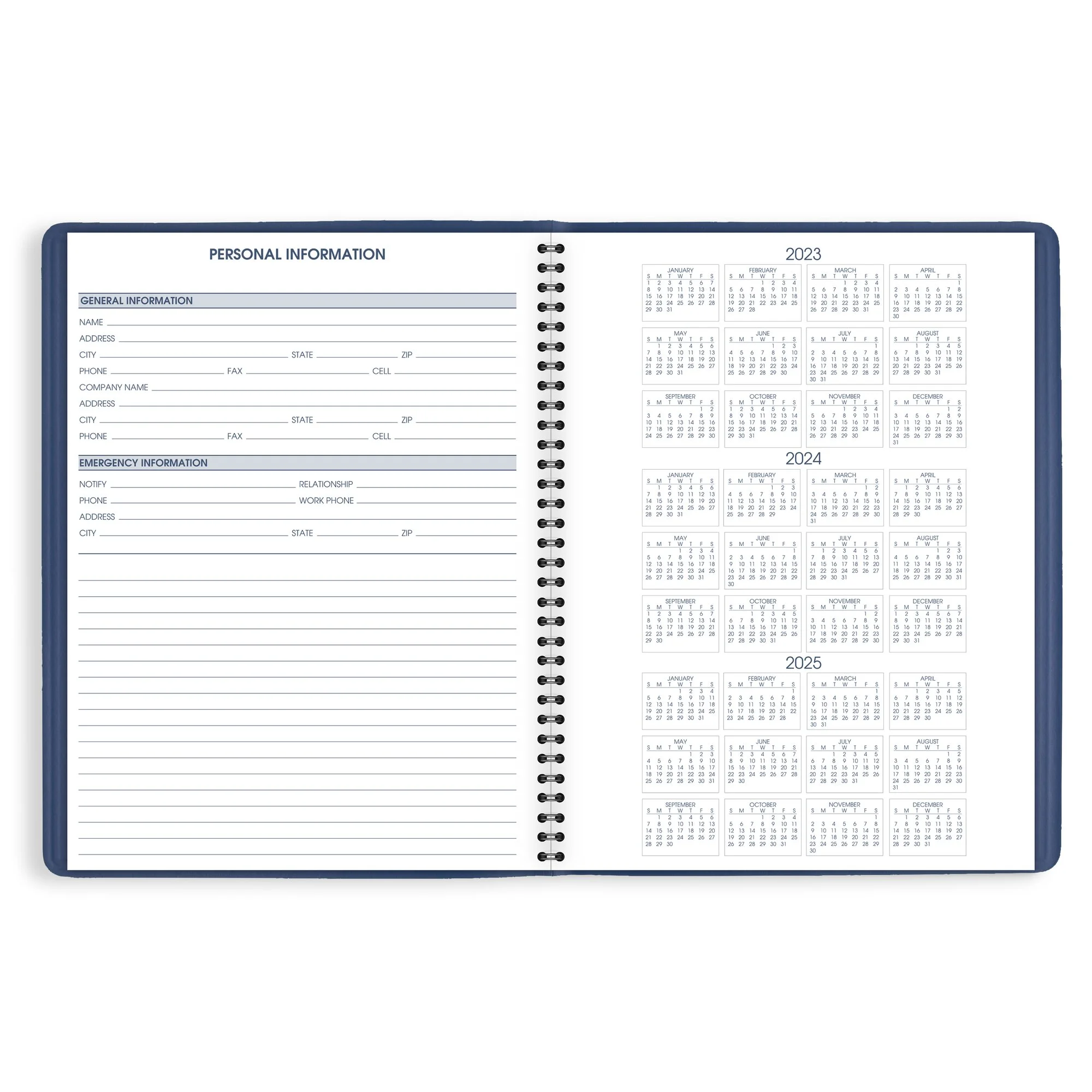 AT-A-GLANCE Fashion 2024 Weekly Appointment Book Planner Blue Large 8 14 x 11 -