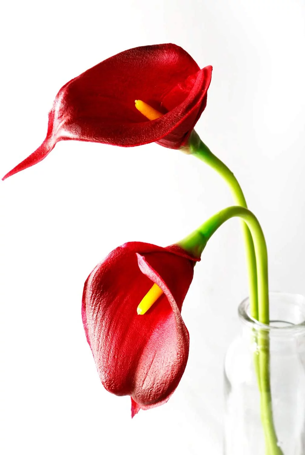 OKbus 20 Pack Artificial Flowers Calla Lilly Large Latex Fake Bouquet Soft Real Touch Long Stem Plants - Burgundy