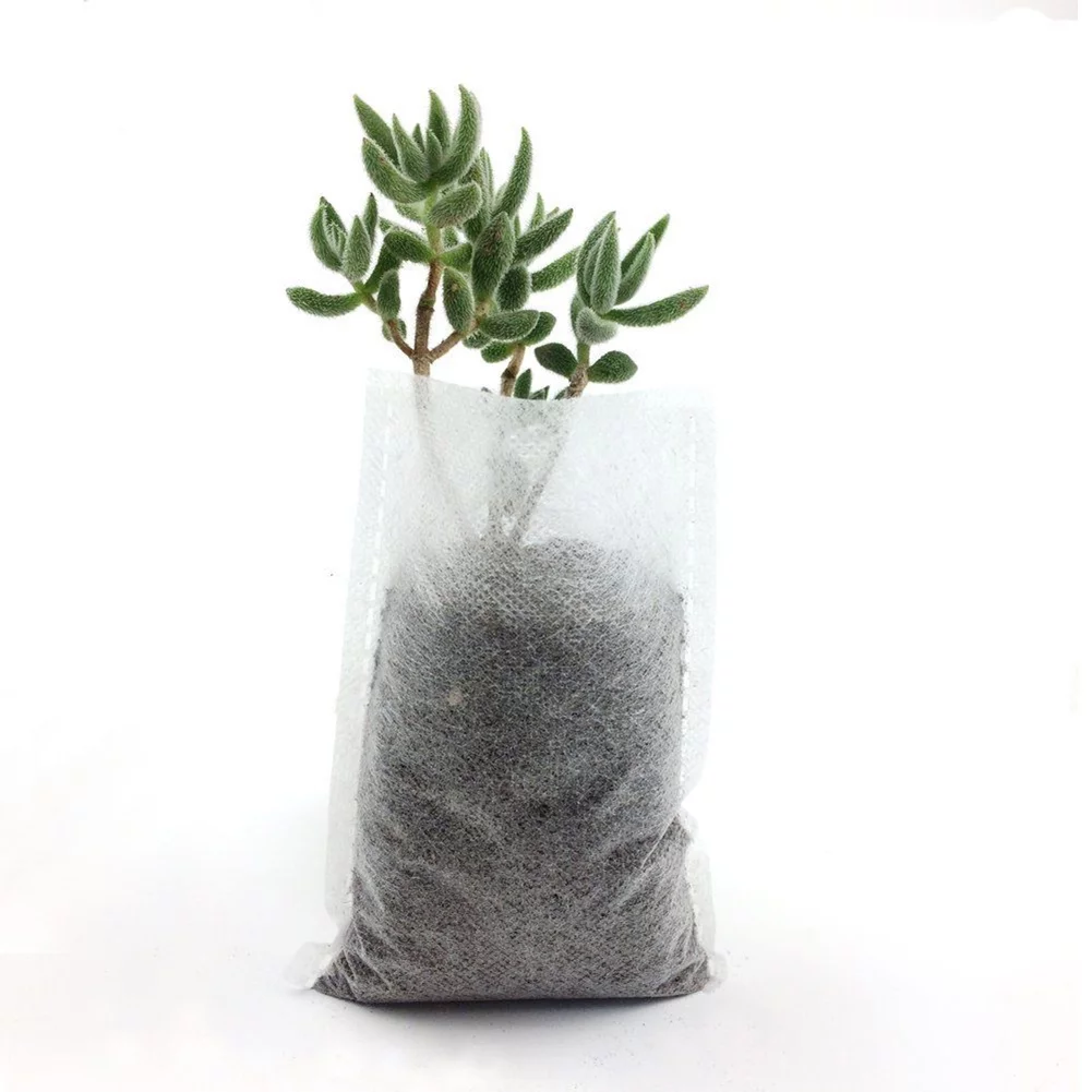CreativeArrowy 100 Pcs Non-Woven Nursery Bags Solid Plants Grow Bags Seed Starter Bags Fabric Seedling Pots Plants Pouch 28*30cm