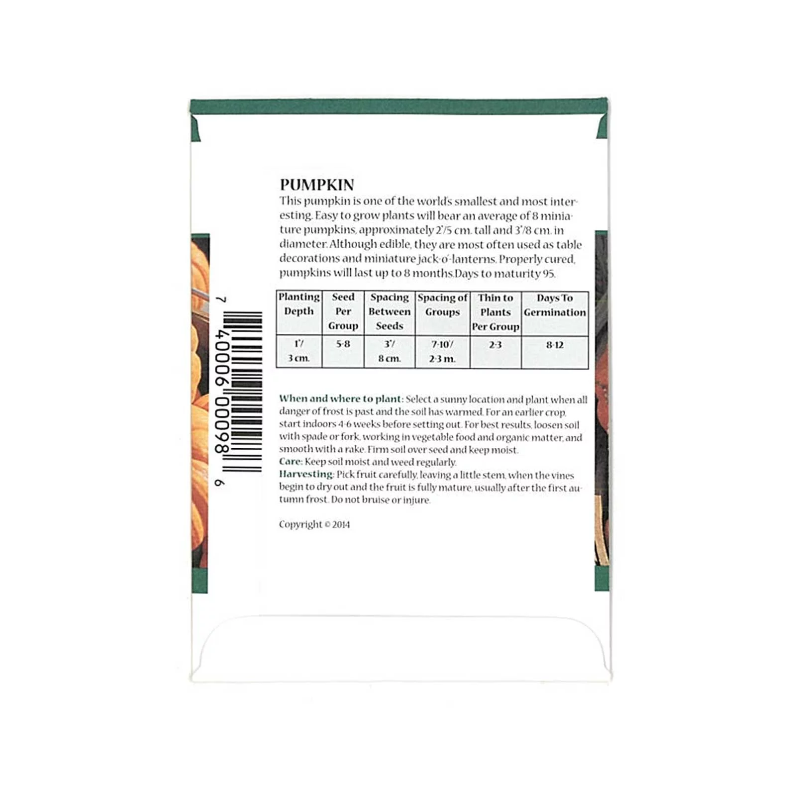 Pumpkin Garden Seeds - Jack Be Little - 2 Gram Packet - Non-GMO, Heirloom Pumpkins - Deep Orange - Vegetable Gardening Seeds