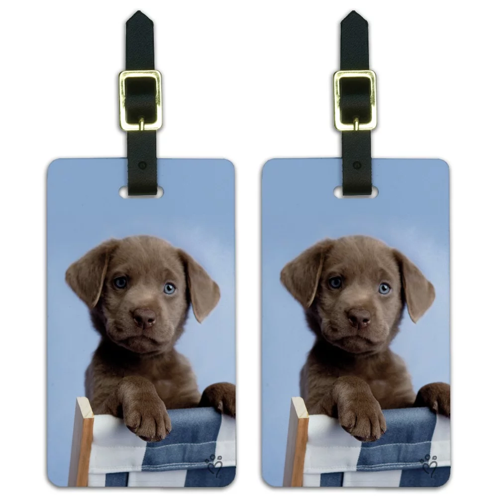 Chocolate Lab Labrador Deckchair Lounge Chair Luggage ID Tags Suitcase Carry-On Cards - Set of 2