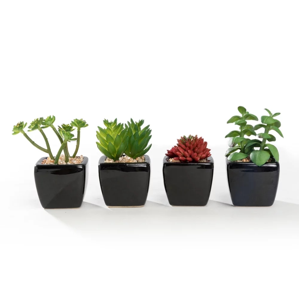 K-Cliffs Set of 4 Mini Artificial Succulent Plants Potted in Cube-Shape Black Ceramic Pot
