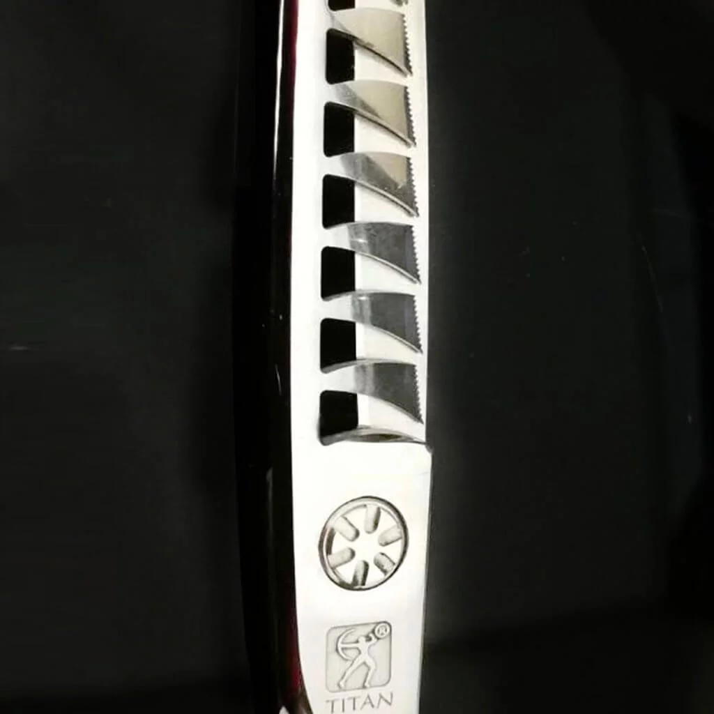 Handmade Japan 10 Teeth Micro-Cut Hair Thinning Shears