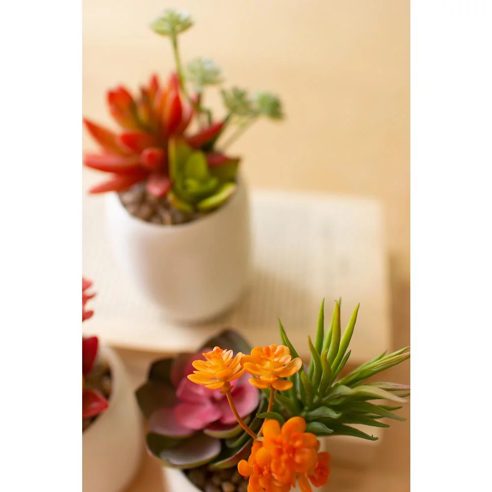 Kalalou Inc Set Of Three Artificial Succulent Plants In A White Pot