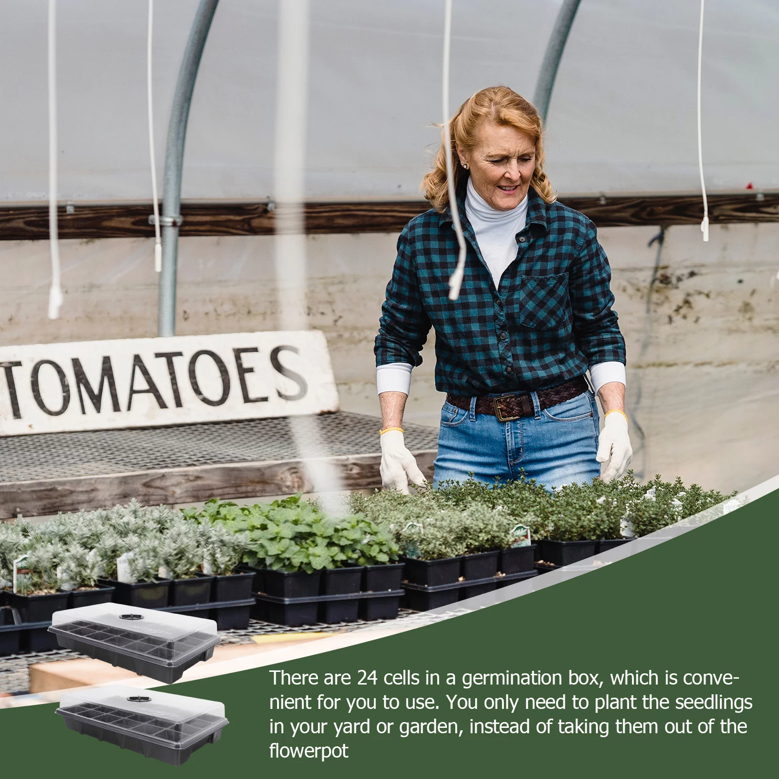 Guichaokj 2Pcs Home 24 Holes Plant Germination Boxes Plastic Planting Tray With Lid