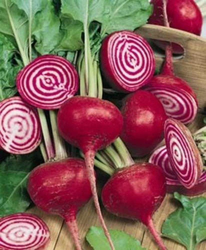 Beet Chioggia Great Heirloom Vegetable 50 Seeds