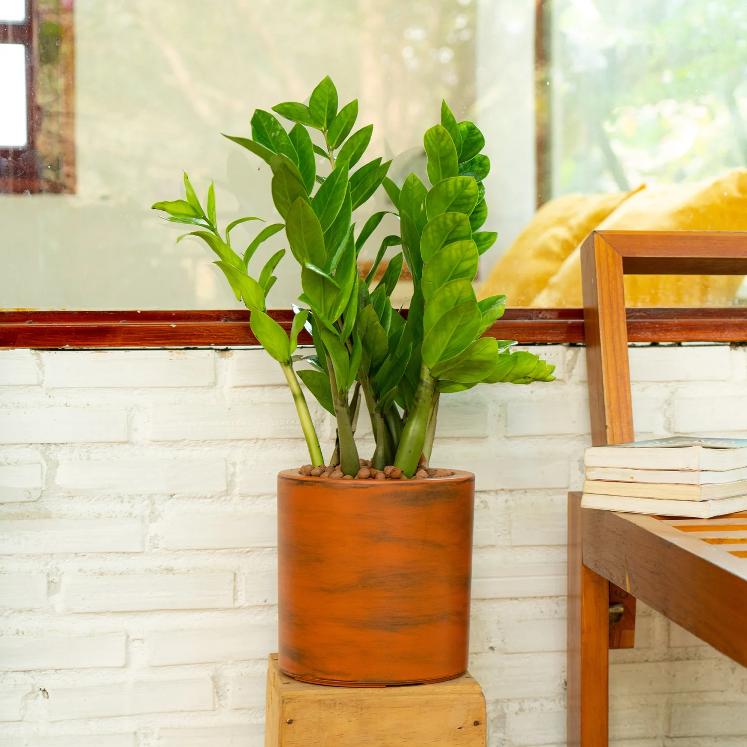 DremFaryoyo 7.8 in. Painted Plastic Self-watering Planter Pot