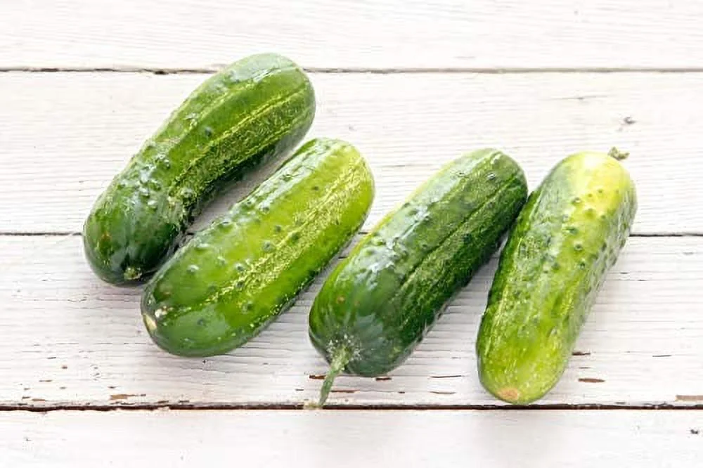 Boston Pickling Cucumber Seeds, 100 Heirloom Seeds Per Packet, Non GMO Seeds, Isla's Garden Seeds