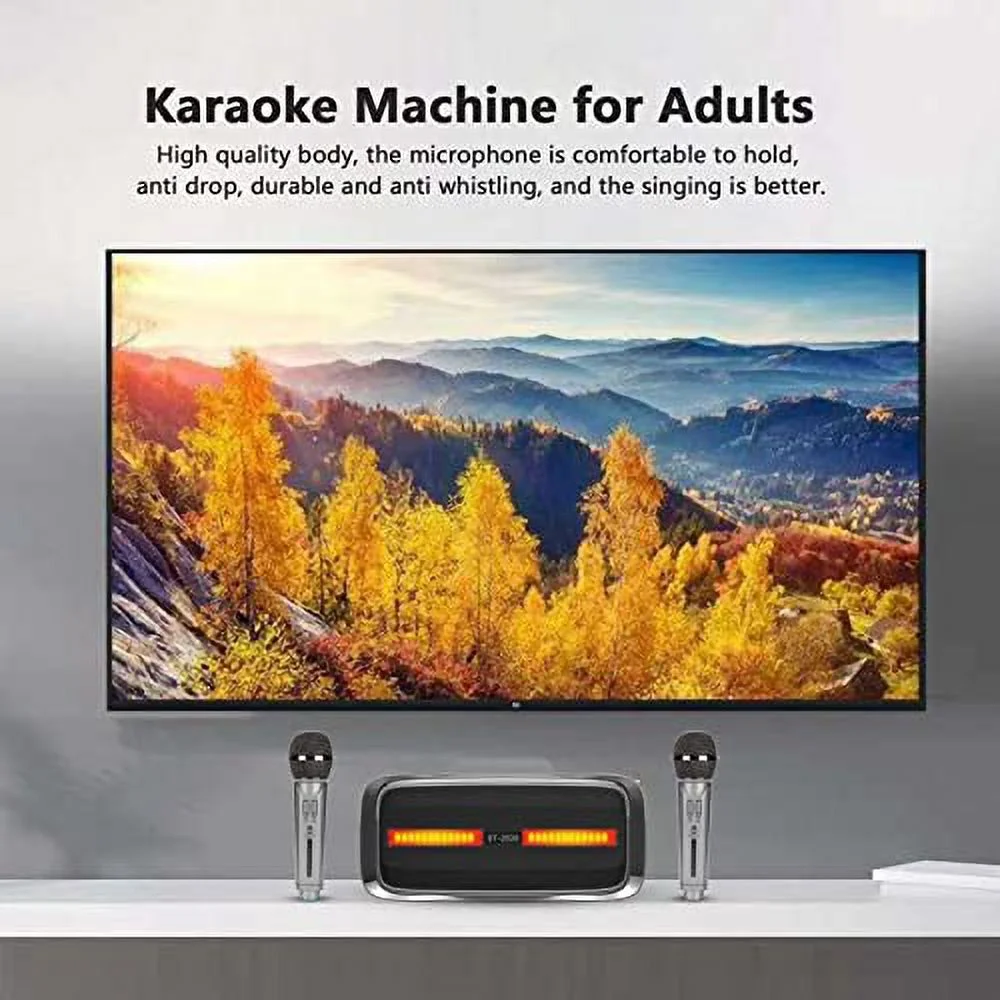 ST2028 Portable Karaoke Speaker System,Bluetooth Karaoke Machine with 2 Mic,Support USB AUX Memory Card Input,for Karaoke Wedding Party Teaching Silver Black