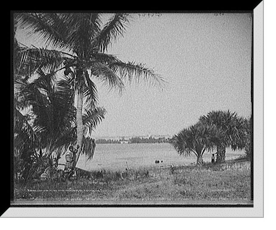 Historic Framed Print, Lake Worth and Royal Poinciana, Palm Beach, Fla., 17-7/8