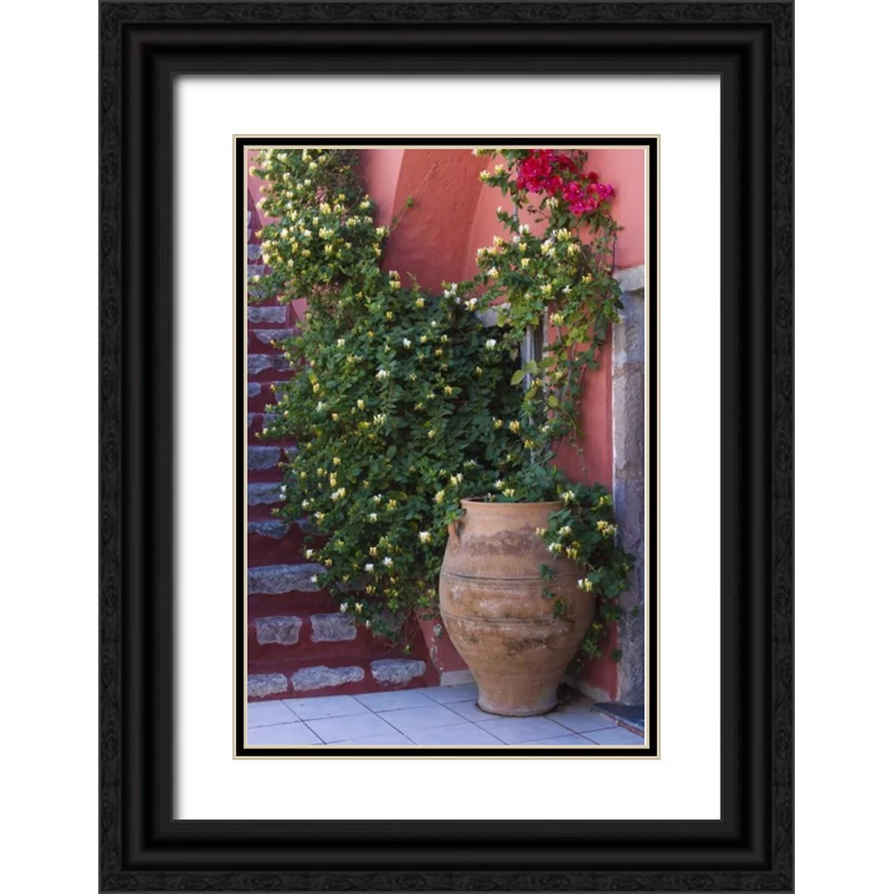 Young, Bill 23x32 Black Ornate Wood Framed with Double Matting Museum Art Print Titled - Greece, Santorini Pot with honeysuckle vine
