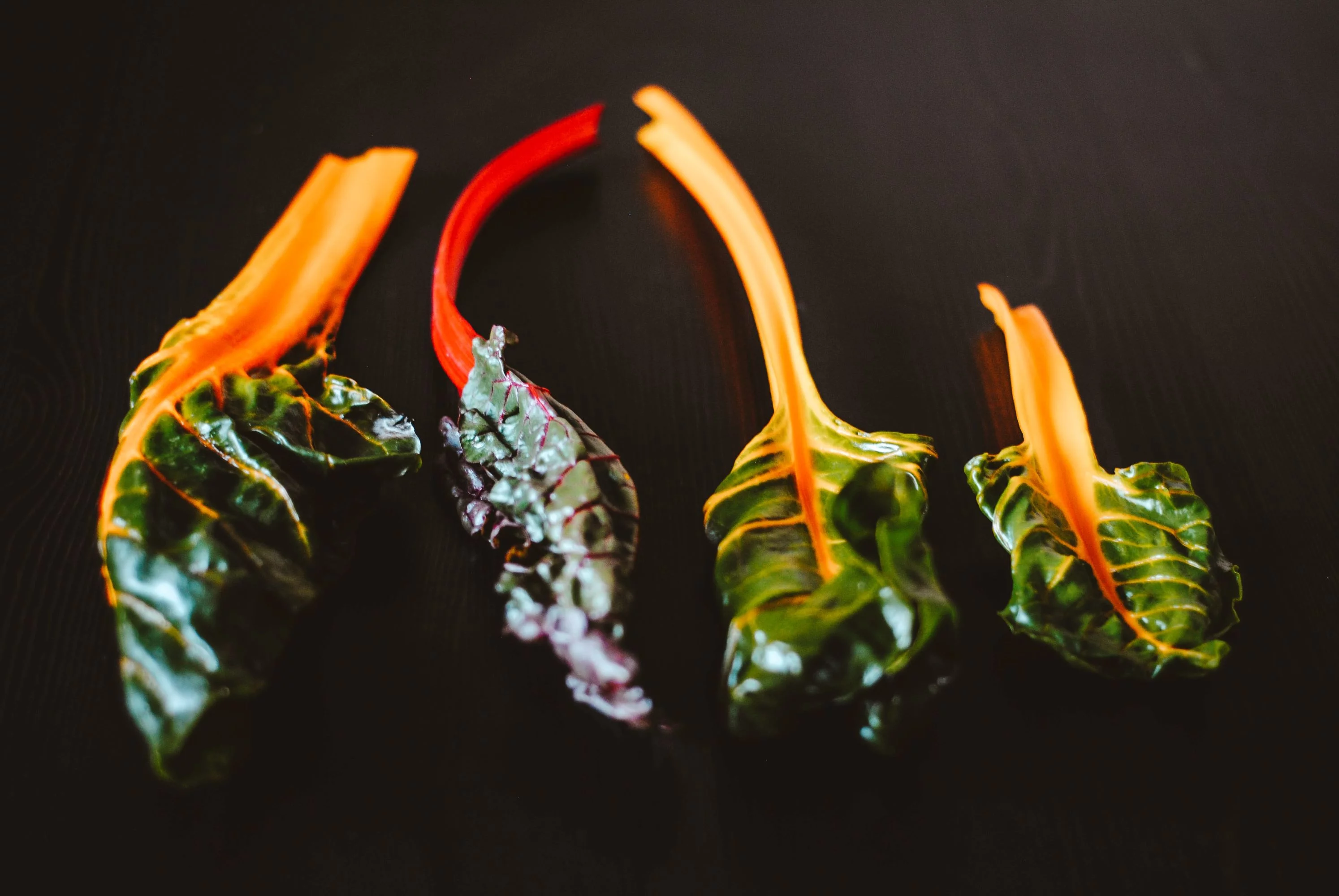 Rainbow Chard Swiss Seeds/ Biennial/ Full Sun/ 27K Seeds 1lb/ Zellajake Farm and Garden - B166