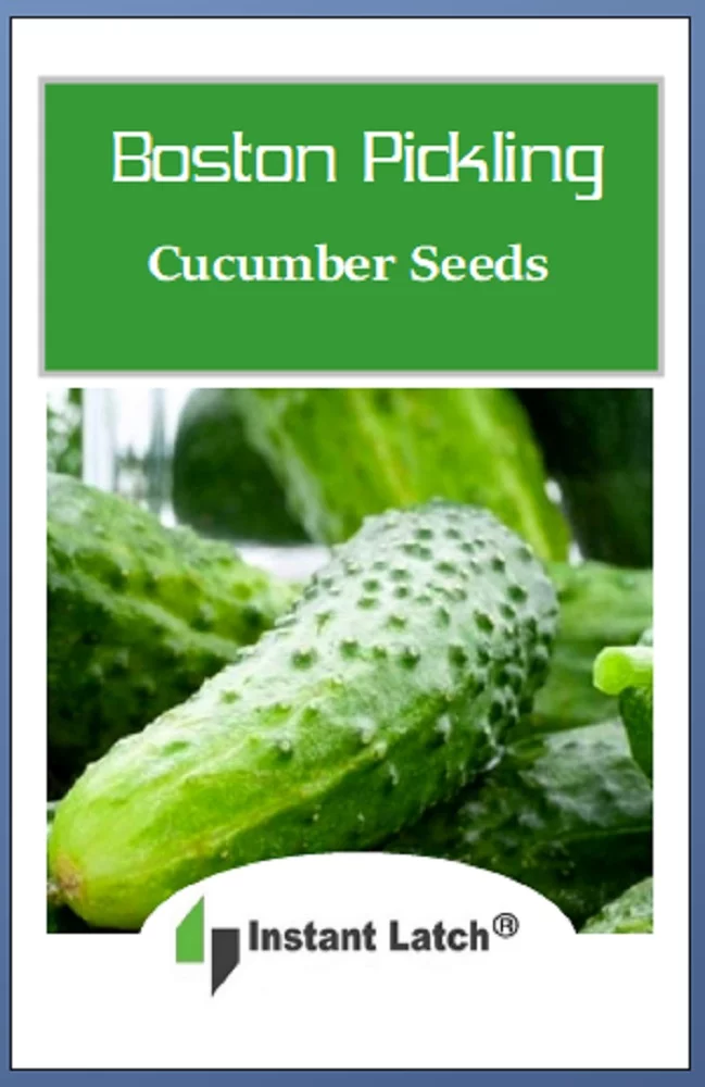 100 Boston Pickling Cucumber Seeds | NON-GMO | Fresh Heirloom Garden Seeds