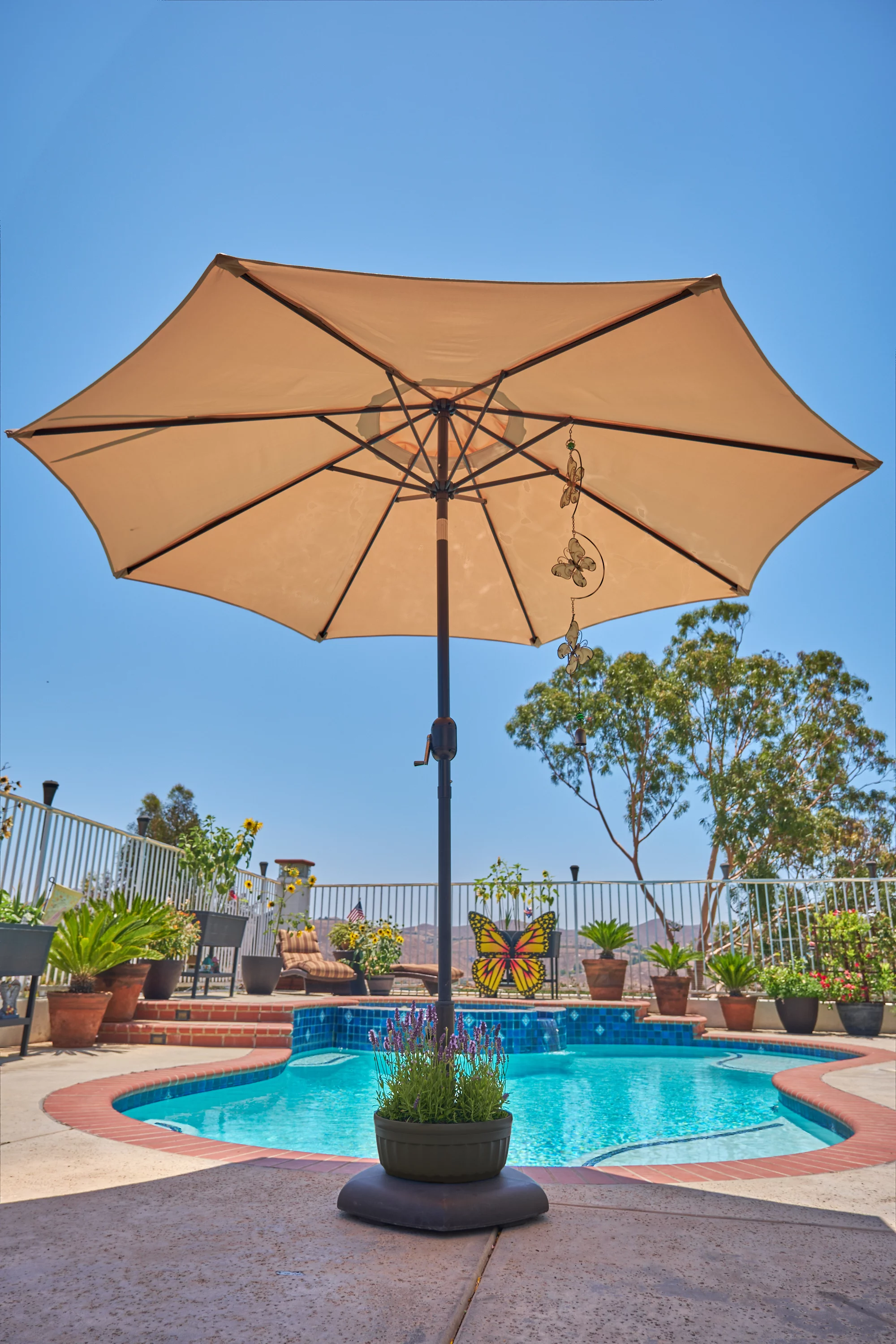 The Savannah Planter: Brown