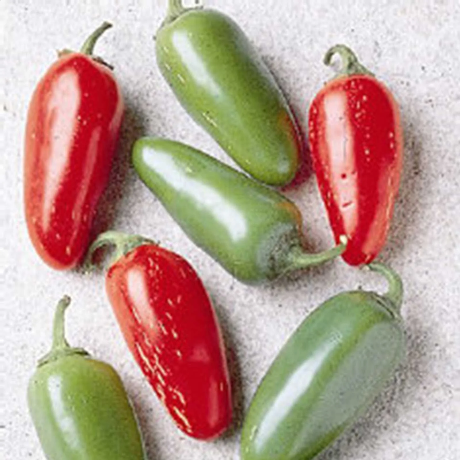 Early Jalapeno Hot Pepper Garden Seeds - 1 Gram Packet - Non-GMO, Heirloom Vegetable Gardening Seed