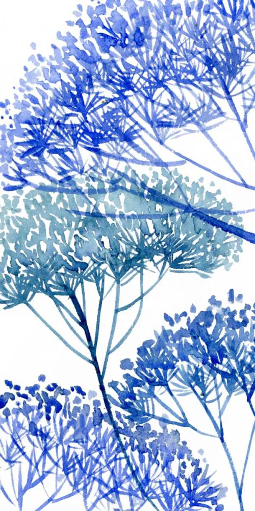 Wang, Melissa 18x32 Black Ornate Wood Framed with Double Matting Museum Art Print Titled - Little Sapling II